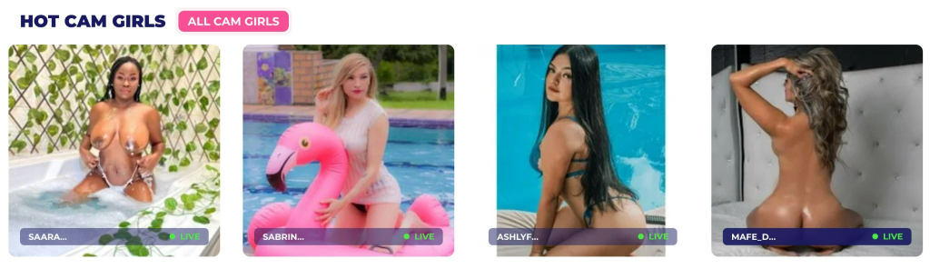 Features of Jerkmate